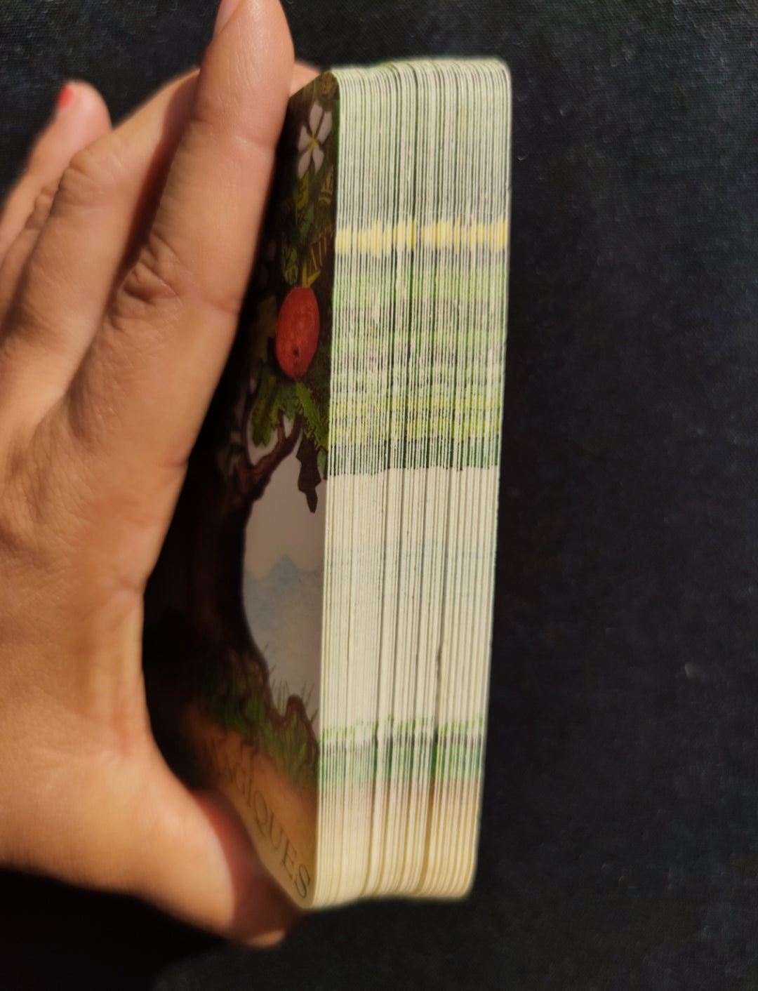 The Magic of Trees Oracle – Rare 2005 French Divination Deck by Gillian Kemp
