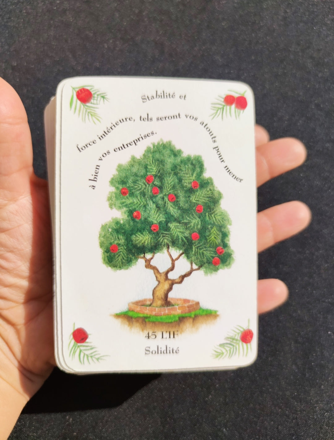 The Magic of Trees Oracle – Rare 2005 French Divination Deck by Gillian Kemp