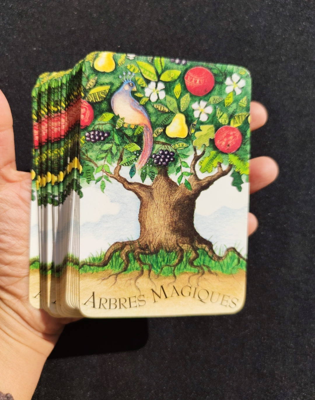 The Magic of Trees Oracle – Rare 2005 French Divination Deck by Gillian Kemp