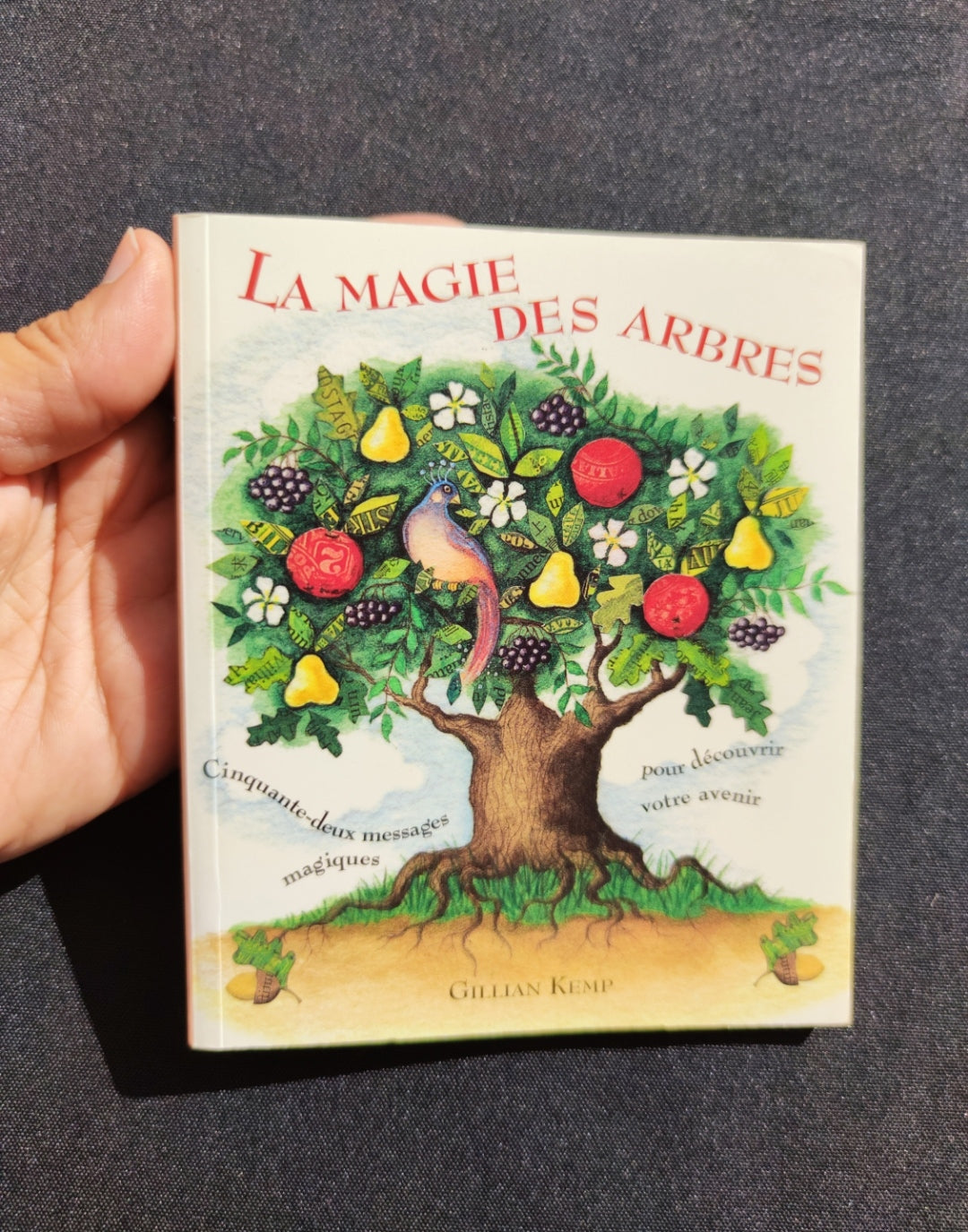 The Magic of Trees Oracle – Rare 2005 French Divination Deck by Gillian Kemp