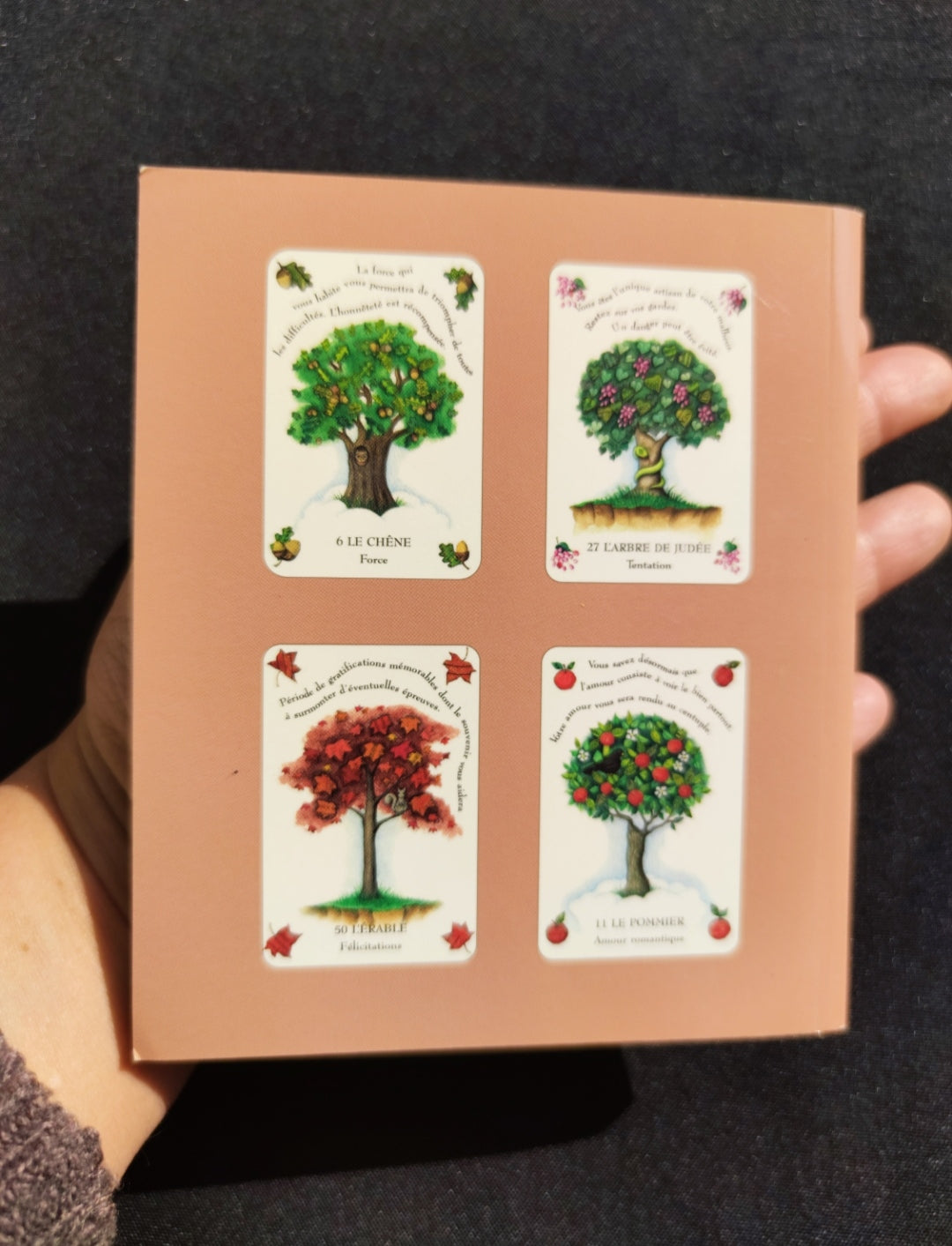 The Magic of Trees Oracle – Rare 2005 French Divination Deck by Gillian Kemp