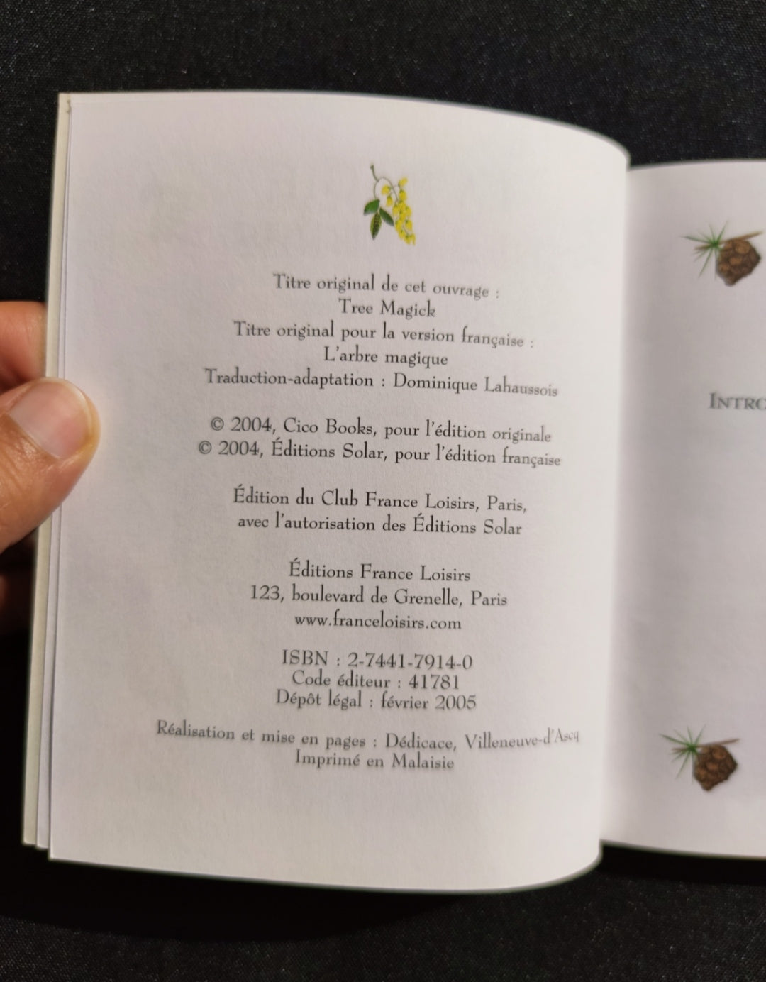 The Magic of Trees Oracle – Rare 2005 French Divination Deck by Gillian Kemp