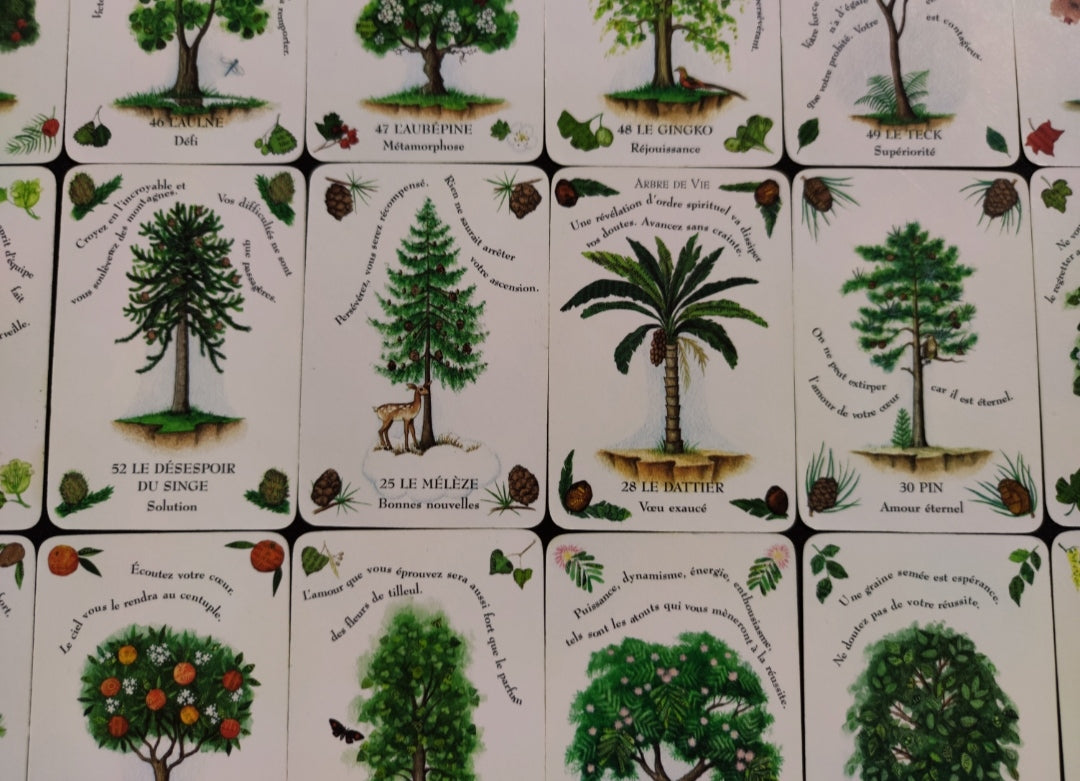 The Magic of Trees Oracle – Rare 2005 French Divination Deck by Gillian Kemp