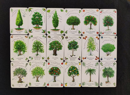 The Magic of Trees Oracle – Rare 2005 French Divination Deck by Gillian Kemp