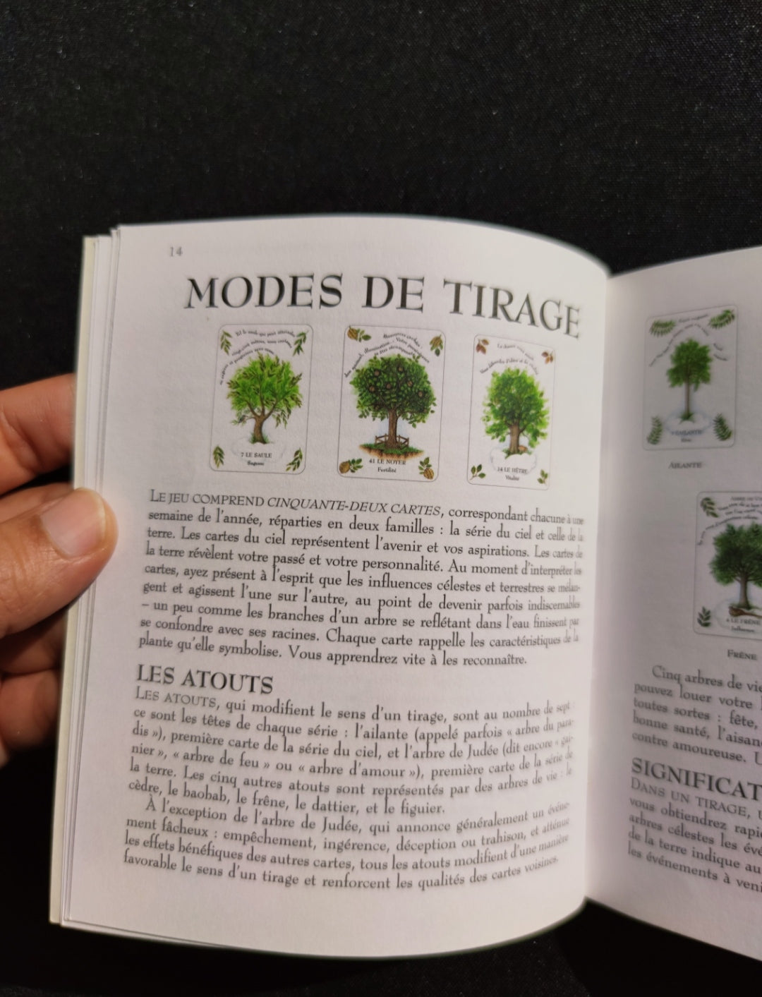 The Magic of Trees Oracle – Rare 2005 French Divination Deck by Gillian Kemp