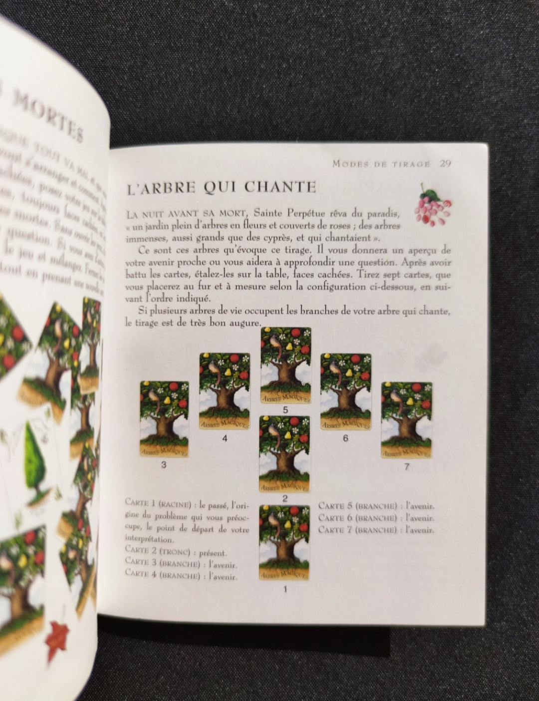 The Magic of Trees Oracle – Rare 2005 French Divination Deck by Gillian Kemp