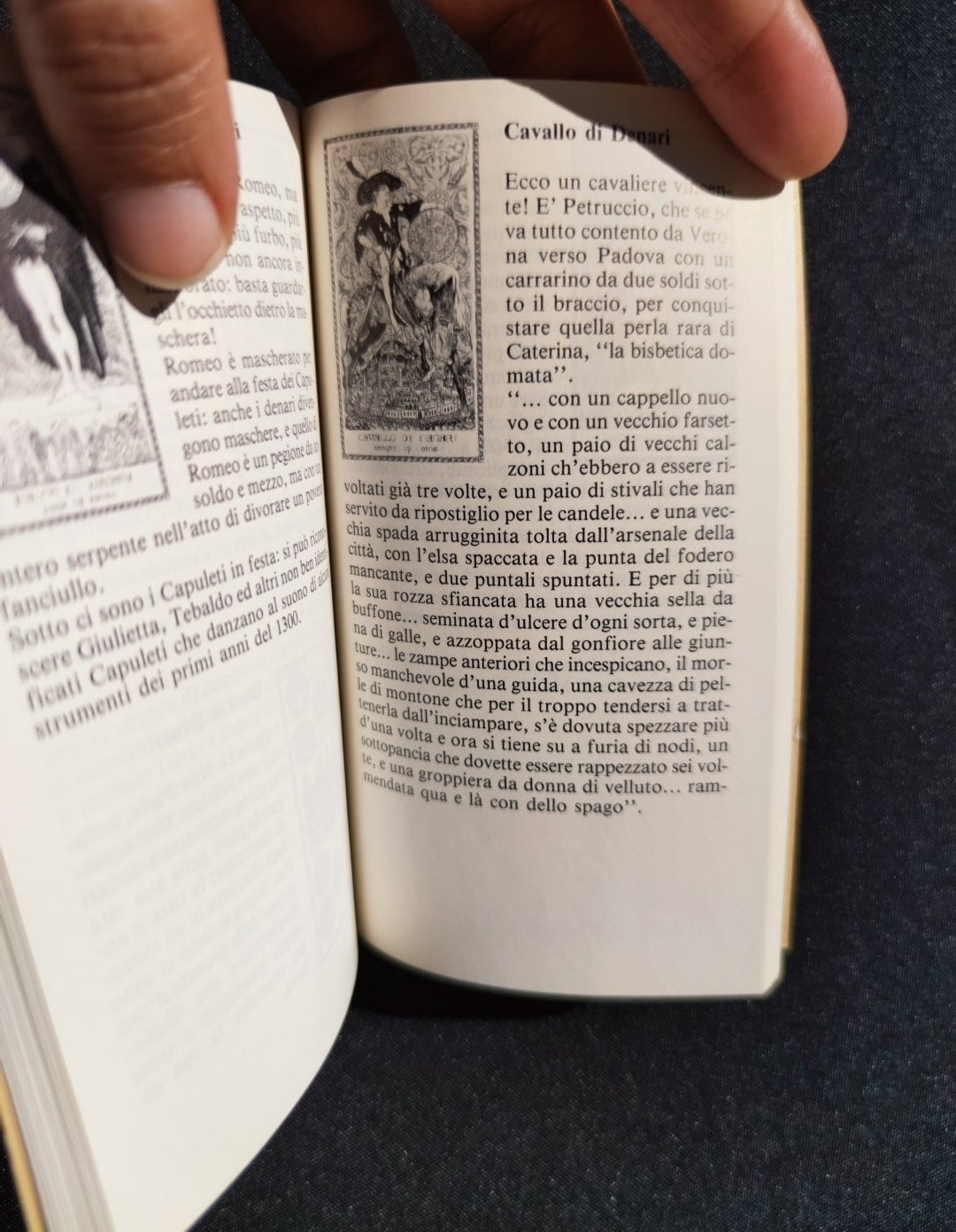 Shakespeare Tarot Deck by Luigi Scapini – Rare 1990 Limited Edition – 78 Cards + Guidebook