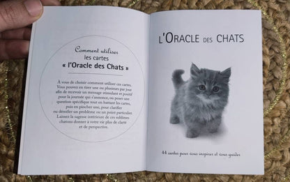 Cat Wisdom 2010-gift-divination-cartomancy-clairvoyance-fortune telling-tarot deck-esotericism-divinatory guidance-prediction