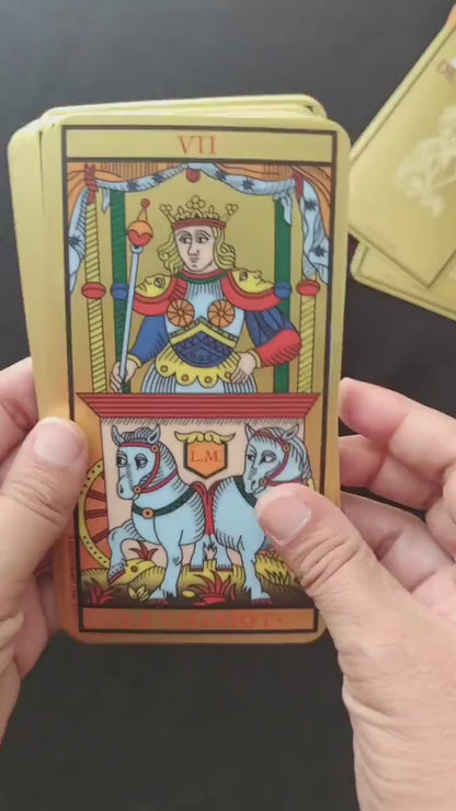 Reconstituted Tarot of Marseille – Le Mat – 2005